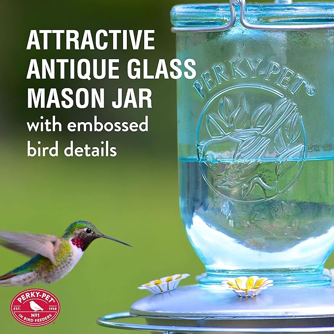 Perky-Pet Mason Jar Vintage Style Glass Hummingbird Feeder 785-1SR - Humming Bird Feeders for Outdoor Garden Decor - 32 Oz Nectar Capacity