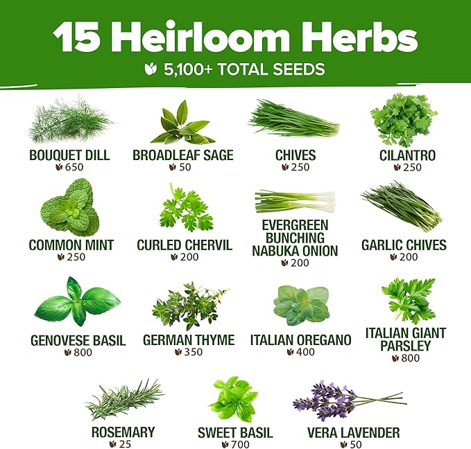 HOME GROWN Herb Seeds for Planting 15-Pack Massive Seed Count 5,100+ Seeds Non-GMO Heirloom | Extra Large | Culinary Herb Kit, Indoor Outdoor & Hydroponic | Grow Your Own Herbs | Gardening Gift
