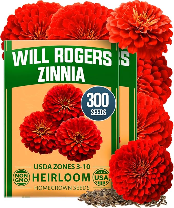 HOME GROWN Will Rogers Zinnia Seeds - 300 Zinnia Flower Seeds for Planting Outdoors - Tall Zinnia Elegans Cut Flowers - Heirloom Non-GMO Zinnia Seeds for 2026