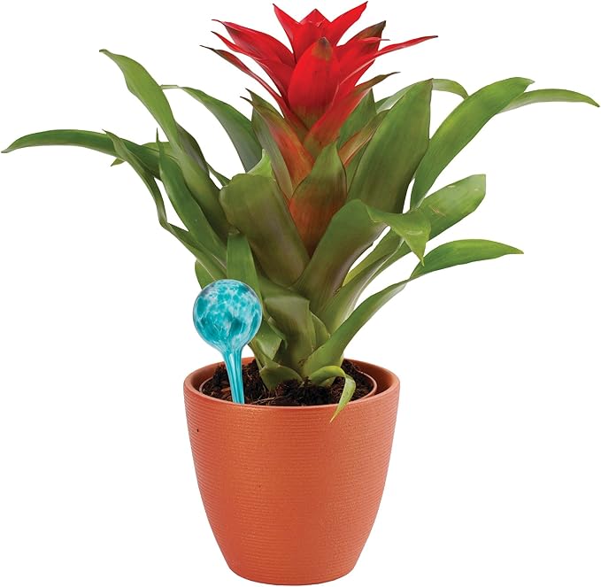 3-Piece Mini Watering Globe Set, Colorful Hand-Blown Glass Plant Watering System