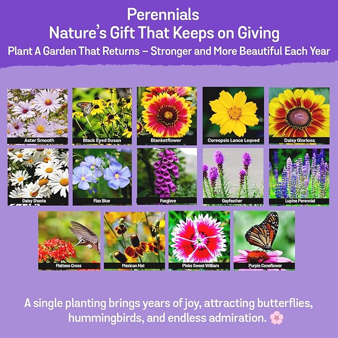 NatureZ Edge Wildflower Seeds Mix – 1/4 lb, 170,000 Seeds, 35 Variety Perennial & Annual Flower Seeds to Plant Outside, Bulk Wildflower Seeds, Wild Flower, Semillas de Flores