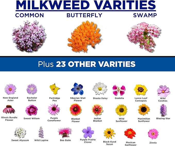 Monarch Butterfly Garden Kit with Milkweed Seeds–Perennial Flower Seeds to Plant Outside| 1/4 Pound Pure Bulk Wildflower Seeds | Garden Seeds for Attracting Pollinators | Seed Packets for Spring/Fall