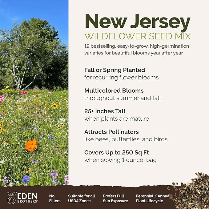 Eden Brothers New Jersey Wildflower Mixed Seeds for Planting, 1 oz, 30,000+ Seeds with Cornflower, Coneflower | Attracts Pollinators, Plant in Spring or Fall, Zones