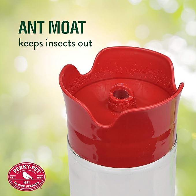 Perky-Pet Pinch-Waist Glass Hummingbird Feeder – 16 oz Nectar Capacity - Wide Mouth Humming bird Feeder - Bee Guards, Ant Moats, Durable Glass Bottle - 210PB, Easy to Clean