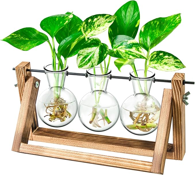 Propagation Station, Plants Terrarium, Plants Lover Gifts for Women,Plant Cutting Holder Home décor,Gifts for Women,House Warming New Home-3 Bulbs