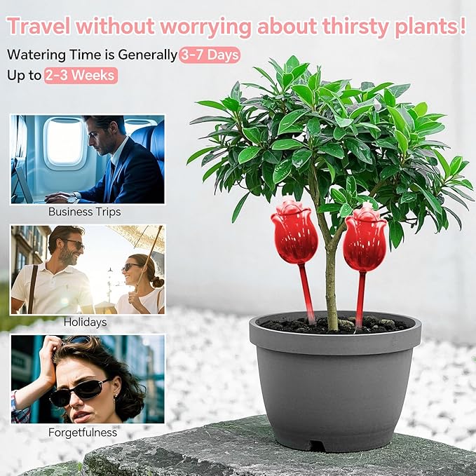 Large Plant Watering Globes Set of 3-10 oz Indoor/Outdoor Large Self Watering Globes Planter Insert, for Mother/Father/Friend/Plant Enthusiasts (Red Rose)