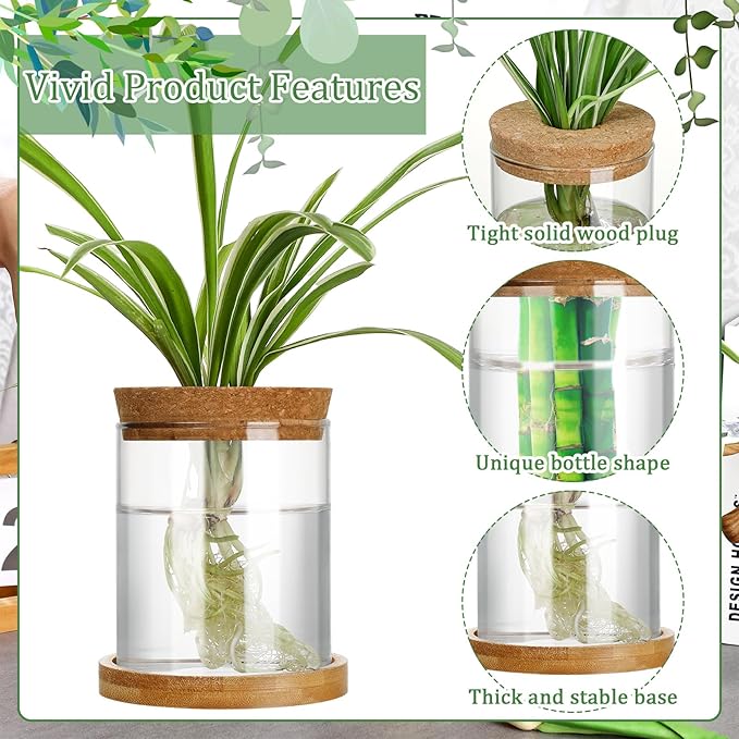 Maxcheck 3 Pcs 3 Sizes Plant Propagation Station Separated Glass Plant Terrarium Water Hydroponic Planter Holder with Lid and Wooden Stand Propagation Vase Pot for Home Indoor Office(Various Sizes)