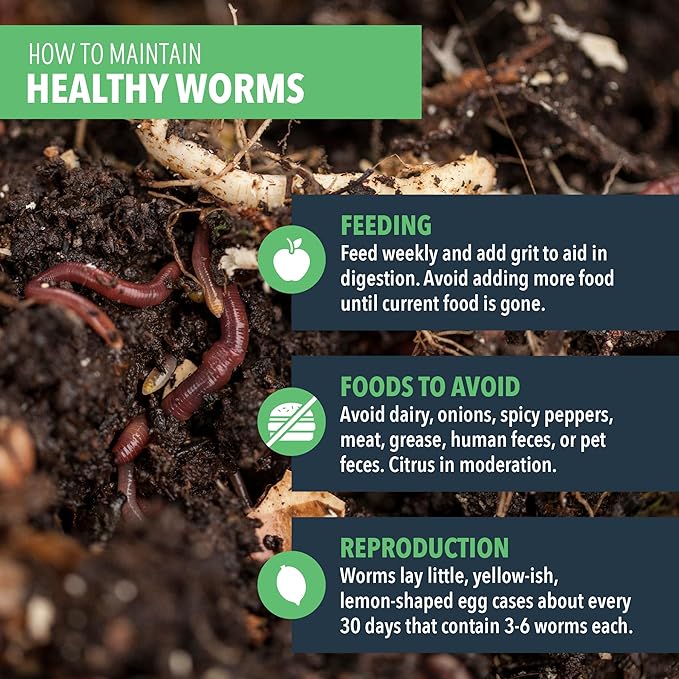 Worm Nerd Composting Worms – Live Red Wriggler Compost Worms Mix – Sustainable Compost Worms Live for Organic Materials - Worm Composting Set for Better Soil Structure 100 Worms *CANNOT SHIP TO HAWAII