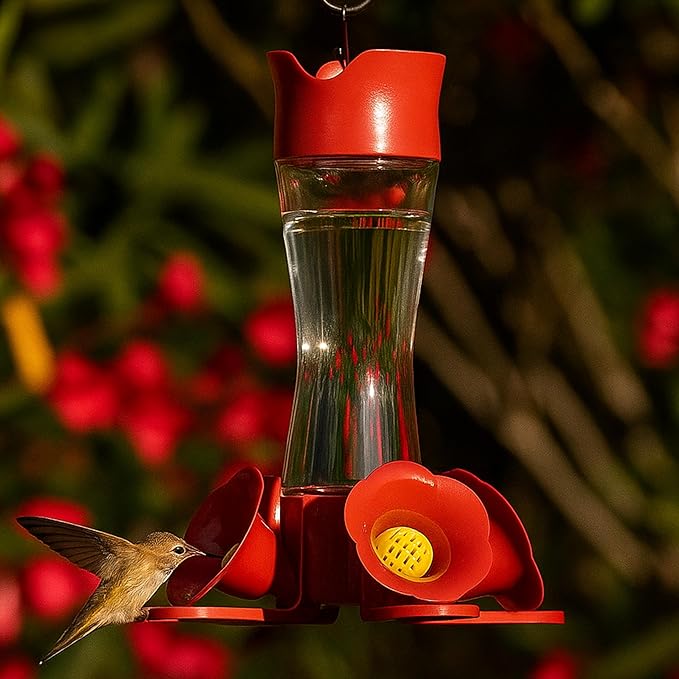 Perky-Pet 203CPBN Glass Hummingbird Feeder for Outdoors with Perches, Ant Moat, Bee Guards - Pack of 1