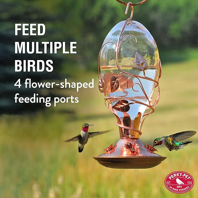 Perky-Pet Looking Glass Hummingbird Feeder - 8110H-1 - Humming bird Feeder for Outdoors - 32 oz Nectar Capacity