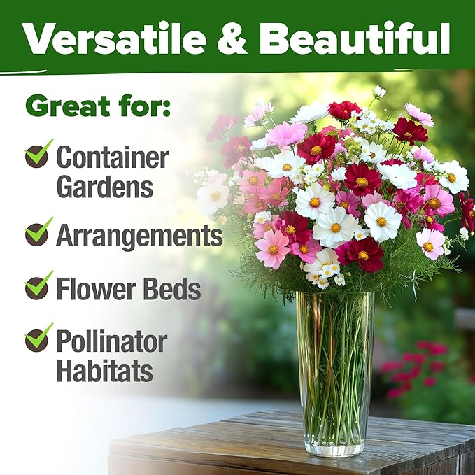 HOME GROWN Cosmos Flower Seeds Bulk Pack for 2026 (1.8 oz) 8,000+ Heirloom Annual Wildflower Seeds Pollinator-Friendly Mix for Pollinators & Outdoor Gardens (Cosmos bipinnatus)