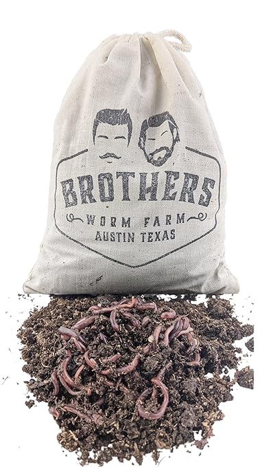 BROTHERS WORM FARM - 1/4 LB (~250) Red Wiggler Composting Worm Blend. Best Species for Composting, Gardens, Bins and Creating Worm Castings at Home.