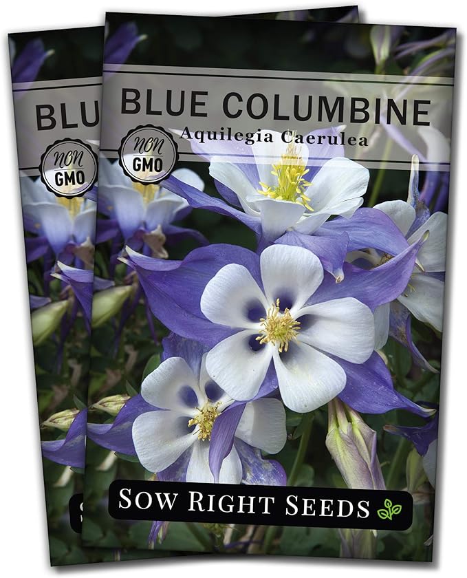 Sow Right Seeds - Blue Columbine Flower Seeds to Plant - Non-GMO Heirloom Packet With Instructions to Plant in Your Garden- Beautiful Perennial Flowers - Attract Hummingbirds, Bees and Butterflies (2)