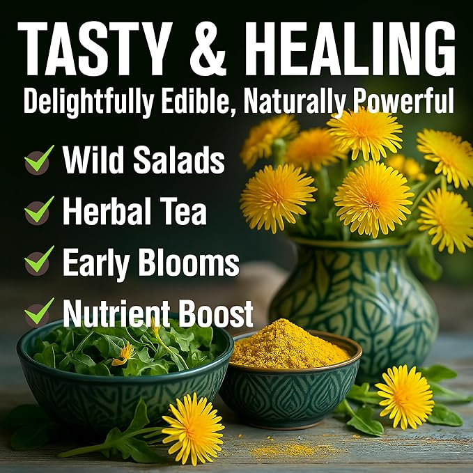 HOME GROWN Flower Seeds Giant (Dandelion, 1-Pack)
