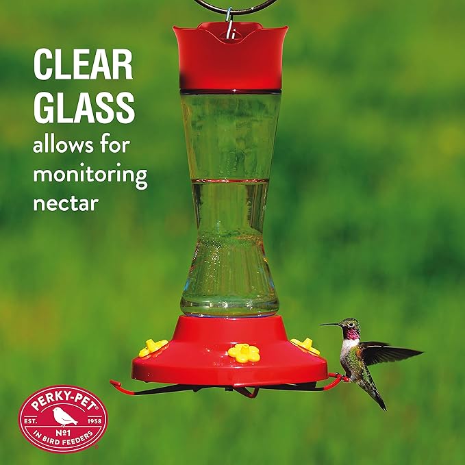 Perky-Pet Pinch-Waist Glass Hummingbird Feeder – 16 oz Nectar Capacity - Wide Mouth Humming bird Feeder - Bee Guards, Ant Moats, Durable Glass Bottle - 210PB, Easy to Clean
