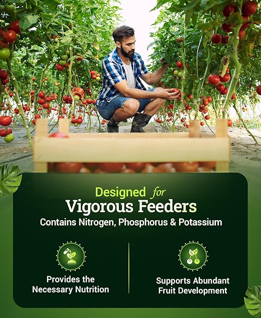 FoxFarm Happy Frog Tomato & Vegetable Fertilizer - Organic Vegetable Fertilizer for Vigorous Feeders, 5-7-3 Blend with Calcium & Mycorrhizal Fungi, Supports Abundant Fruit & Disease Resistance, 4 lb