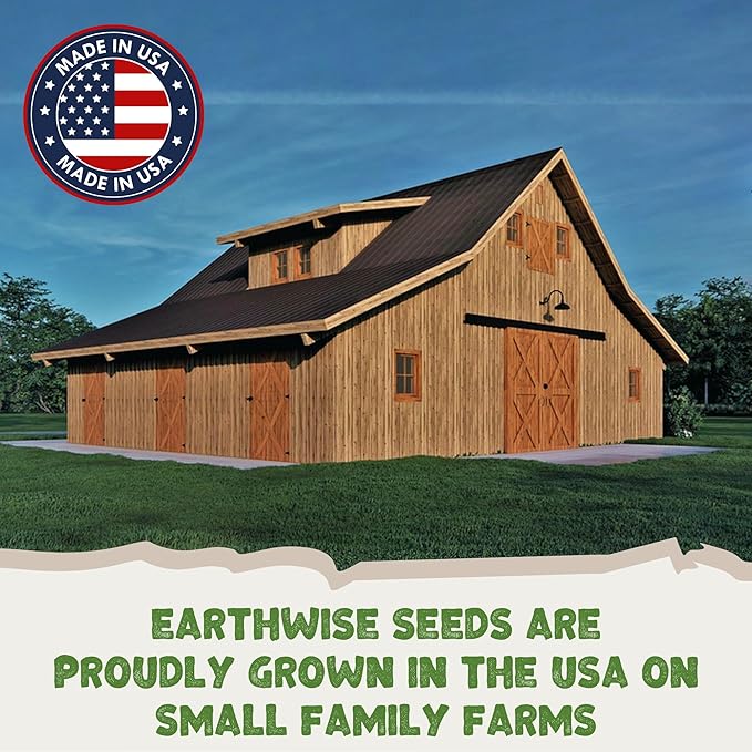 Earthwise Pollinator Paradise Native Wildflower Seed Mix – Bee and Butterfly Friendly, Organic, Season-Long Blooms, Low Maintenance, Drought Tolerant, Pet Safe – Covers Up to 1,200 sq ft, 1/2 lb