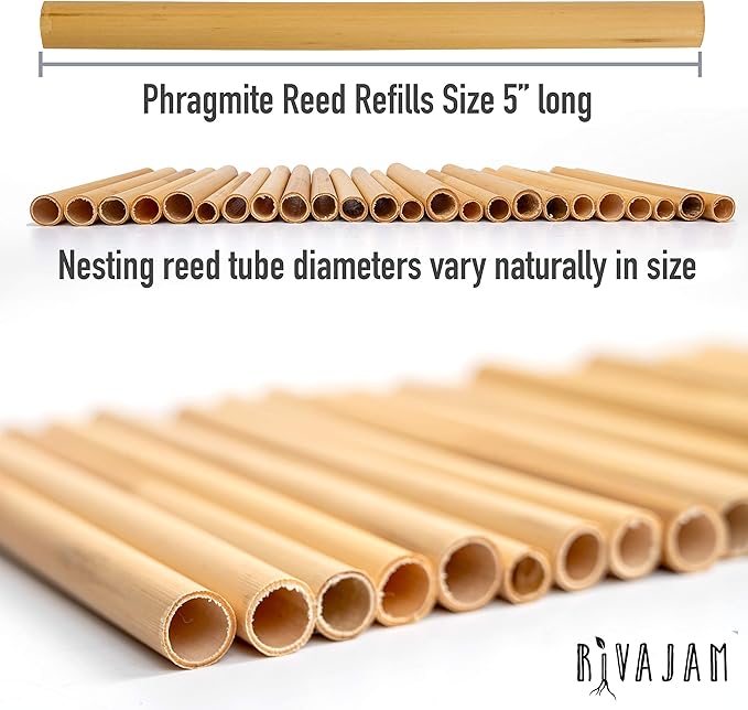 Rivajam 75 Phragmite Reed Mason Bee Tubes | Recommended for Garden Starter Kits & Solitary Bee Hive Supplies