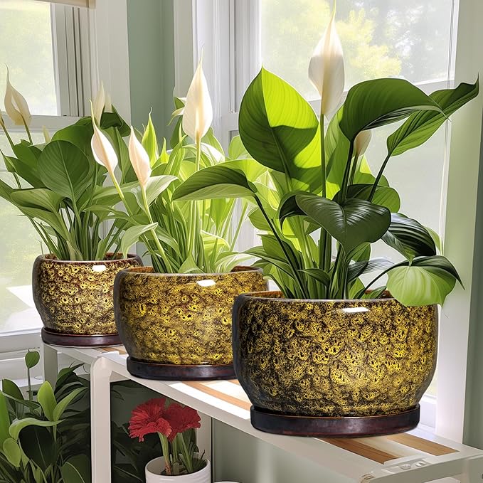 SQOWL 10 Inch Plant Pot - Ceramic Flower Pots with Drainage Hole and Saucer, Ceramic Planter for Indoor Plants Outdoor, Decorative Round Large Planter, House Decor, Gifts for Women Men, Yellow