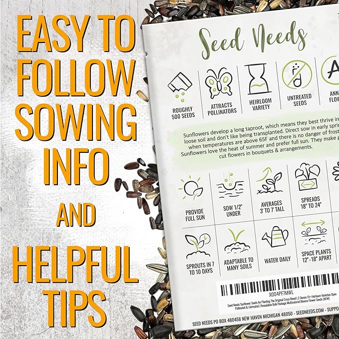 Seed Needs Sunflower Seeds to Plant The Original Crazy Blend | 500+ Heirloom Seeds 15+ Varieties Open Pollinated & Untreated | XL Packet Multicolored Blooms Flower Seed
