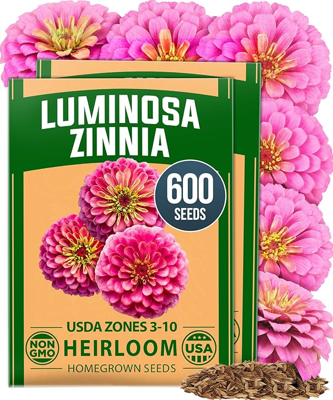 HOME GROWN Flower Seeds Giant (Zinnia Luminosa, 2-Pack)