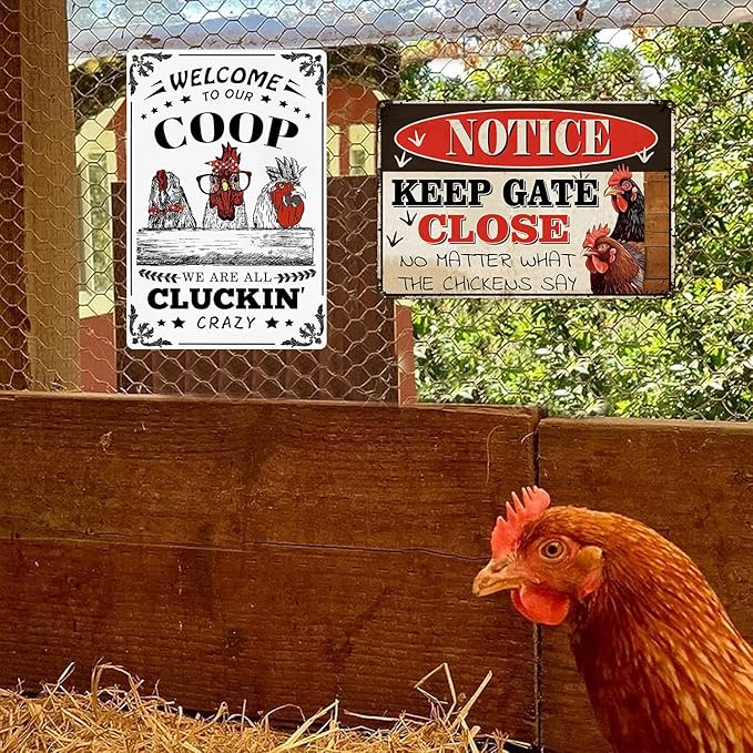 Chicken Signs 2 Pack-Metal Chicken Signs for Coop Funny Outdoor,Chicken Sign Decor for Farm Yard Fence 12x8inch