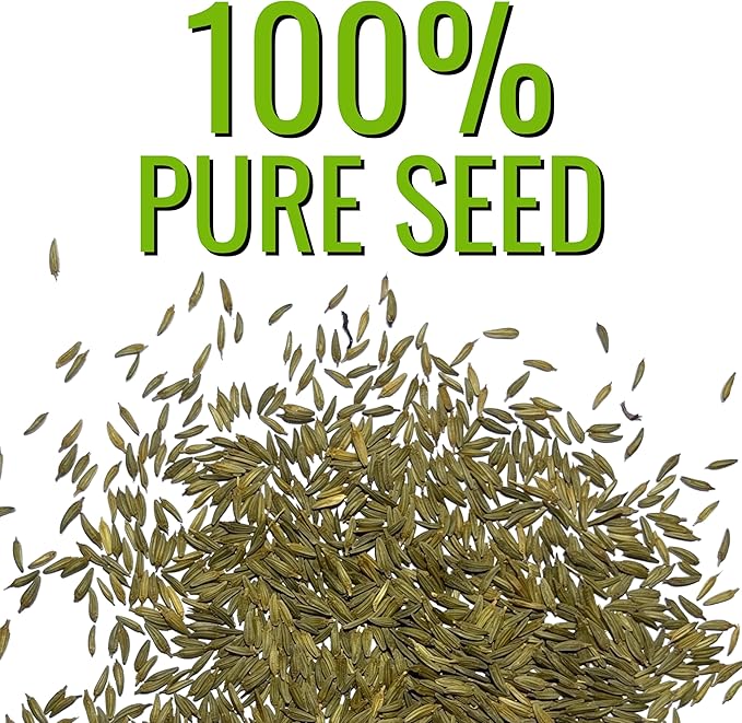 Seed Needs Dandelion Seeds for Planting Traxacum officinale - Non-GMO Heirloom & Untreated Garden Seed to Plant Dandelions for Herbal Uses & Edible Salads (5 Packs (2,500 Seeds))
