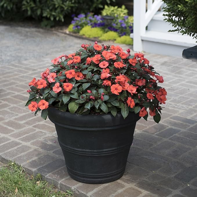 Crescent Garden Brunello Classic Rolled Rim Planter Pot, Indoor/Outdoor Weather-Safe Resin Round Plant Pot, 20''W (Caviar Black)