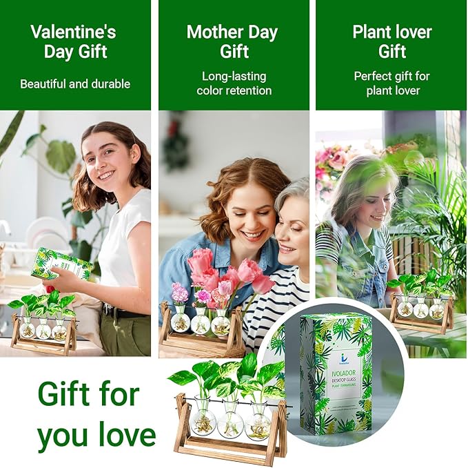Propagation Station, Plants Terrarium, Plants Lover Gifts for Women,Plant Cutting Holder Home décor,Gifts for Women,House Warming New Home-3 Bulbs