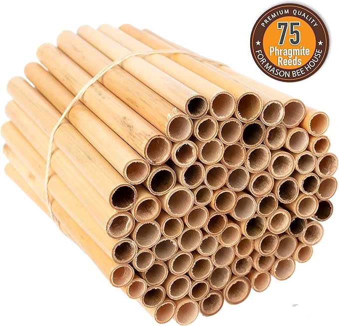 Rivajam 75 Phragmite Reed Mason Bee Tubes | Recommended for Garden Starter Kits & Solitary Bee Hive Supplies