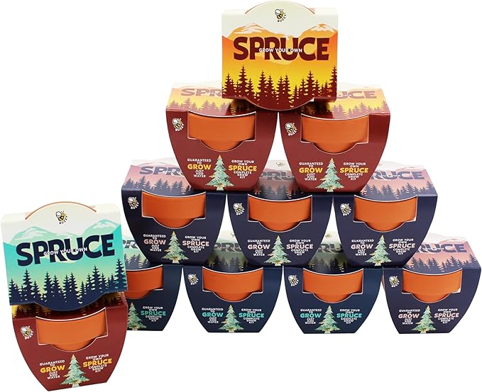BUZZY Seeds Spruce Tree 12-Pack Mini Terracotta Grow Kits – Sustainable Tree Growing Kit, Includes Everything to Sprout Evergreens, Perfect for Earth Day, Party Favors, or Corporate Gifts