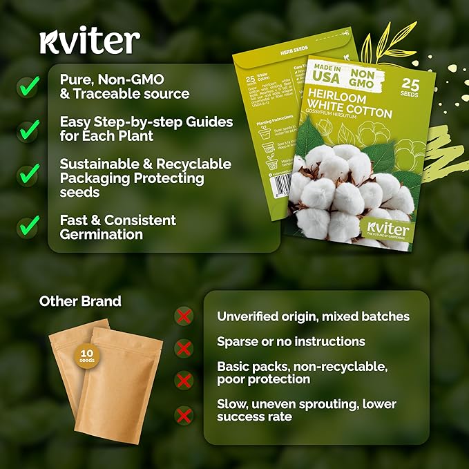 KVITER 25 White Cotton Seeds for Planting (Gossypium hirsutum) – Real Cotton Plant, Cottons Seeds for Growing, Heirloom & Non-GMO Cotton's Plant Seeds for Gardeners – Perfect for Ornamental or Fiber