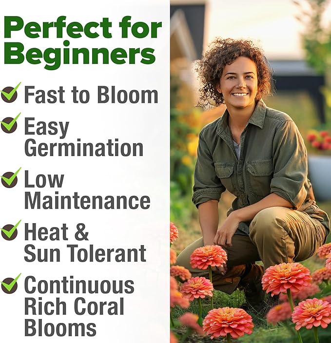 HOME GROWN Coral Zinnia Seeds (1g) – 600 Zinnia elegans Annual Flower Seeds for Planting Outdoors – Heat Tolerant Easy Summer Flowers to Plant – Herb Seed Companion for Pollinator Garden Beds for 2026