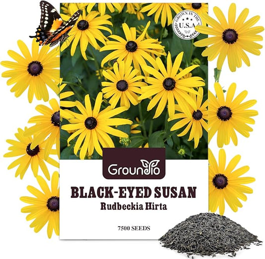 Black Eyed Susan Seeds, 7500+ Perennial Flower Seed to Plant Indoor & Outdoor, Attract Pollinators | Non-GMO | Heirloom Wildflowers Seeds, USDA Zone 3-9