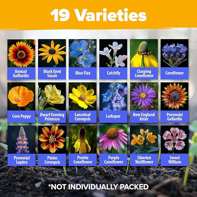 HOME GROWN 32,500+ Midwest Wildflower Seeds 2oz 15 Varieties – Annual & Perennial Flower Seeds for Attracting Bees & Butterflies – Open Pollinated