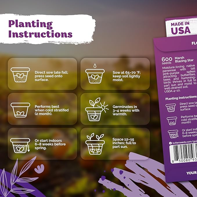 KVITER 600 Marsh Blazing Star Seeds for Planting (Liatris Spicata) – Gayfeather Dense Meadow Blazing Star Seed Packet – Heirloom Seed, Perennial Wildflower Seeds Bulk for Garden, Containers, Outdoors