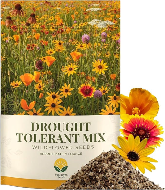 Drought Tolerant Wildflower Mix – 20,000+ Seeds – 1 oz Bulk Extra Large Resealable Packet – Non-GMO Flower Seeds for Dry Climates – Black-Eyed Susan, Coreopsis, California Poppy & More