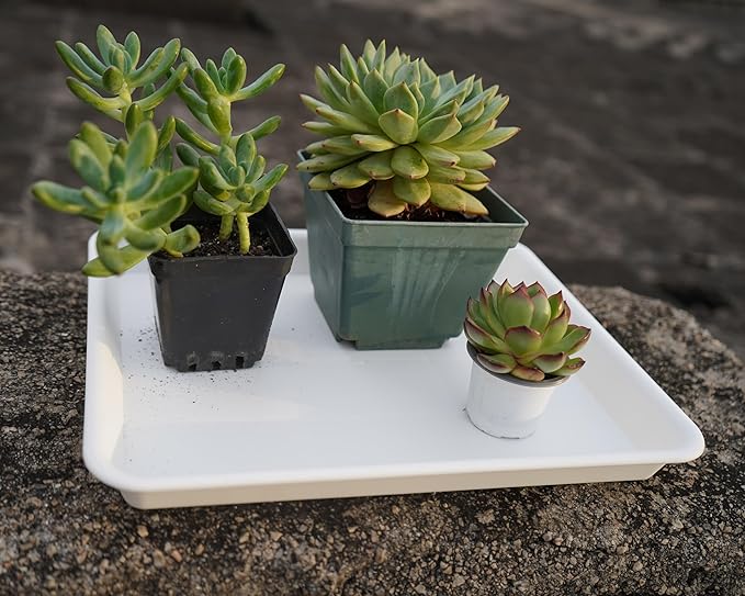 2 Pack Plant Saucer, Nursery Trays, Heavy Sturdy Seed Starting Tray for Indoors No Holes, Starter Growing Tray (17.5"x10.6", Creamy White)