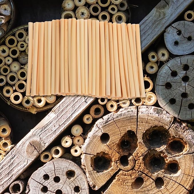 HANABASS 100 Pcs Mason Bee Tubes Natural Reed Nesting Refill for Bee House Hotel, 6 Inch Native Pollinator Nesting Supplies for Backyard Garden Mason Reeds