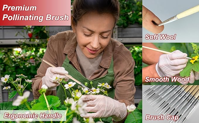 Pollinating Brush for Improving Pollination Efficiency Indoor Hydroponic Plants, Pollination Brushes for Increasing Fruit Yield by 200%, Pollinator Brush Tool for Greenhouse Gardens, Wood (12 Pack)