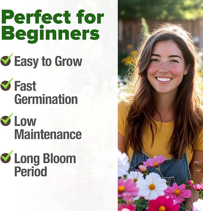 HOME GROWN Cosmos Flower Seeds Bulk Pack for 2026 (1.8 oz) 8,000+ Heirloom Annual Wildflower Seeds Pollinator-Friendly Mix for Pollinators & Outdoor Gardens (Cosmos bipinnatus)
