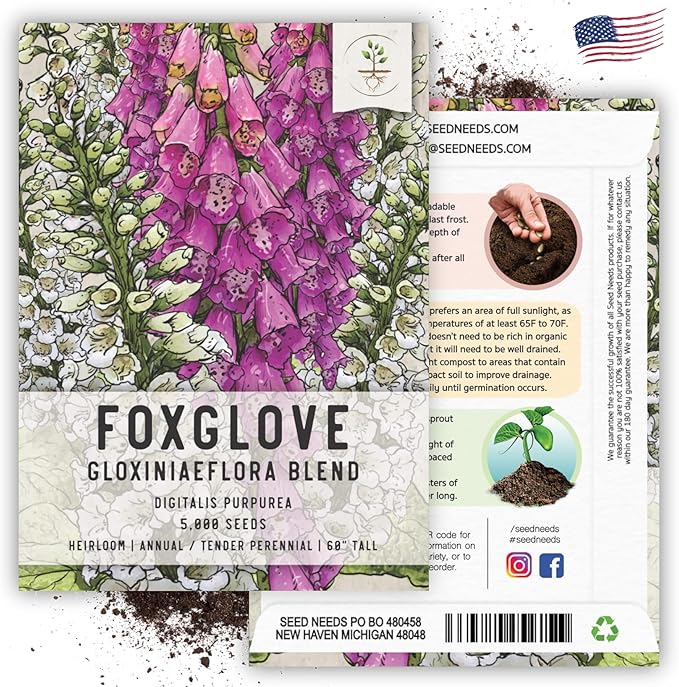 Seed Needs Gloxiniaeflora Foxglove Seeds for Planting Mixed Fox Gloves - Heirloom & Open Pollinated Flowers to Plant an Outdoor Butterfly Garden with Colorful Wildflowers (5 Packs)