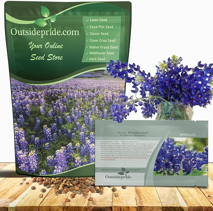 Outsidepride Texas Bluebonnet Seeds - 500 Pcs Annual Lupinus Texensis, Heirloom Quality, Drought-Tolerant Wildflower Seeds w/Blue Blooms for Vibrant Spring Displays, Landscape, & Attracts Pollinators