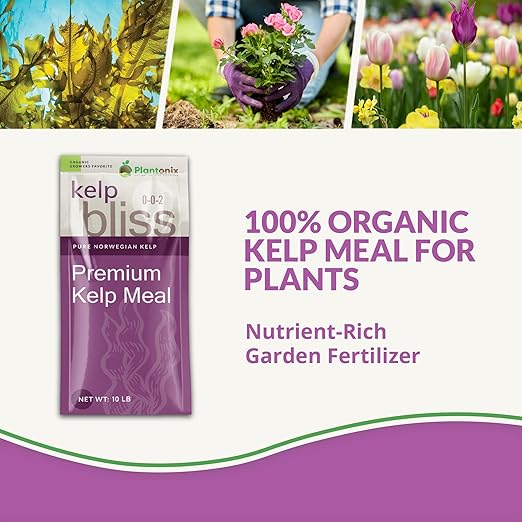 Kelp Bliss (10lbs) - Kelp Meal Organic Fertilizer for Plants, Garden Soil, Flowers, Vegetables, & Lawns - Organic Kelp Fertilizer & Soil Amendment - Natural Plant Food Rich in Vitamins & Nutrients