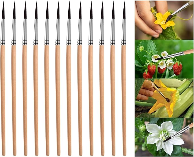 Pollinating Brush for Improving Pollination Efficiency Indoor Hydroponic Plants, Pollination Brushes for Increasing Fruit Yield by 200%, Pollinator Brush Tool for Greenhouse Gardens, Wood (12 Pack)
