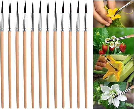 Pollinating Brush for Improving Pollination Efficiency Indoor Hydroponic Plants, Pollination Brushes for Increasing Fruit Yield by 200%, Pollinator Brush Tool for Greenhouse Gardens, Wood (12 Pack)