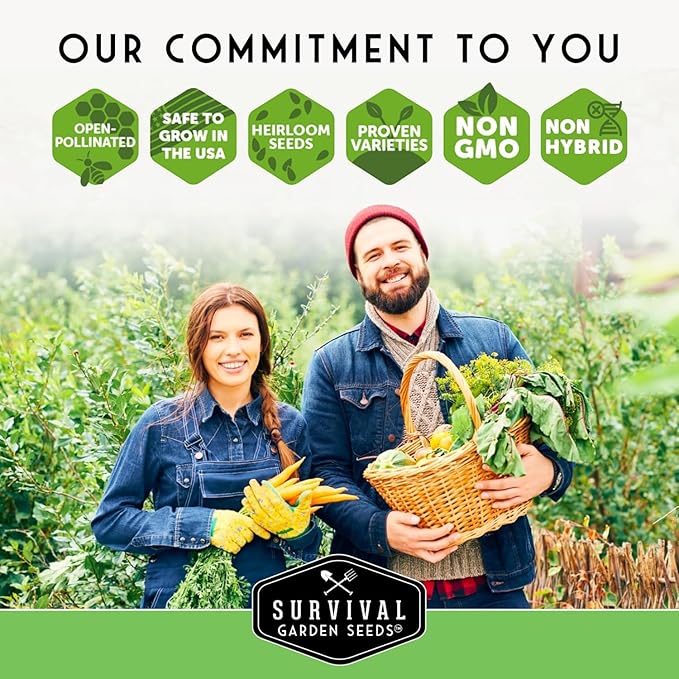 Vegetable Garden Seed Vault for Planting – 15 Pack Collection | Heirloom Non-GMO Family Garden Kit & Gift – Tomato, Lettuce, Cucumber & Squash – Indoor or Outdoor Growing – Survival Garden Seeds