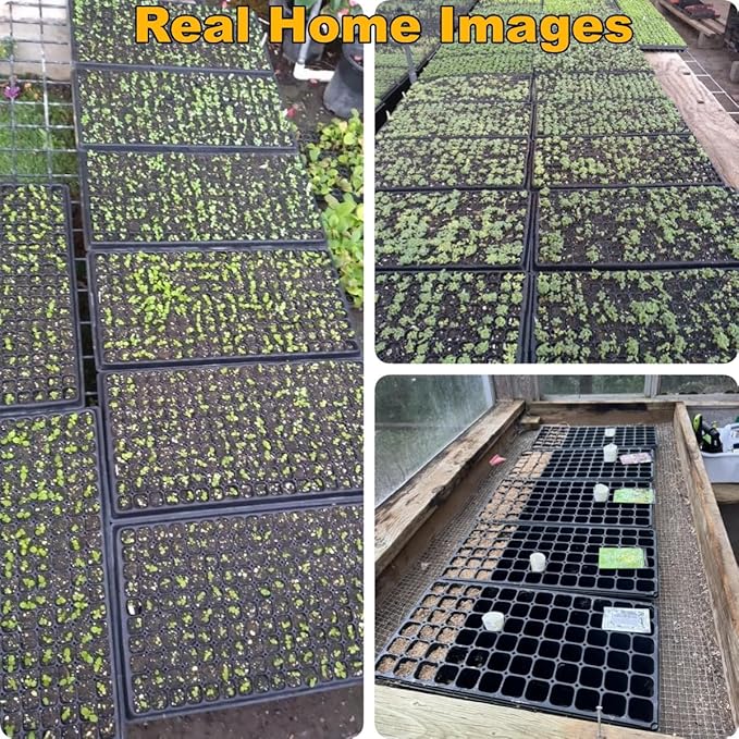 50-Pack 72 Cell Seedling Trays, Heavy-Duty Deep Plug Trays for 1020 Flats, Reusable Seed Starter Trays for Germination & Seed Starting (21.25"×11", 2.36" Height)