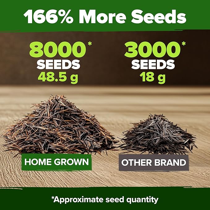 HOME GROWN Cosmos Flower Seeds Bulk Pack for 2026 (1.8 oz) 8,000+ Heirloom Annual Wildflower Seeds Pollinator-Friendly Mix for Pollinators & Outdoor Gardens (Cosmos bipinnatus)