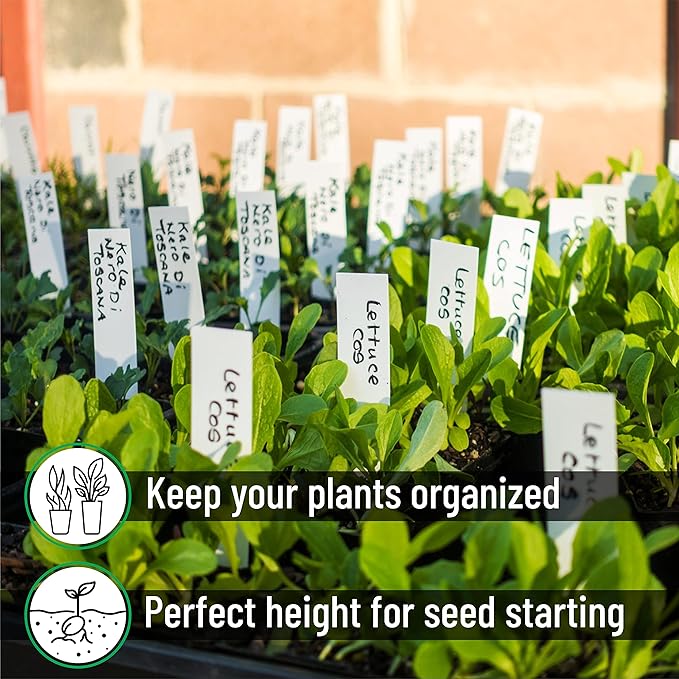 Mr. Pen- Plastic Plant Labels, 100 Pcs, 4“, White, Plant Markers and Labels for Outdoor Garden Waterproof, Plant Name Tags, Planting Sticks for Seeds